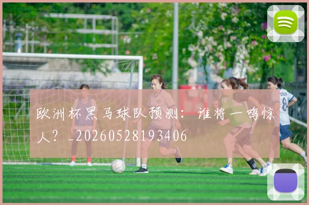 欧洲杯黑马球队预测：谁将一鸣惊人？_20260528193406